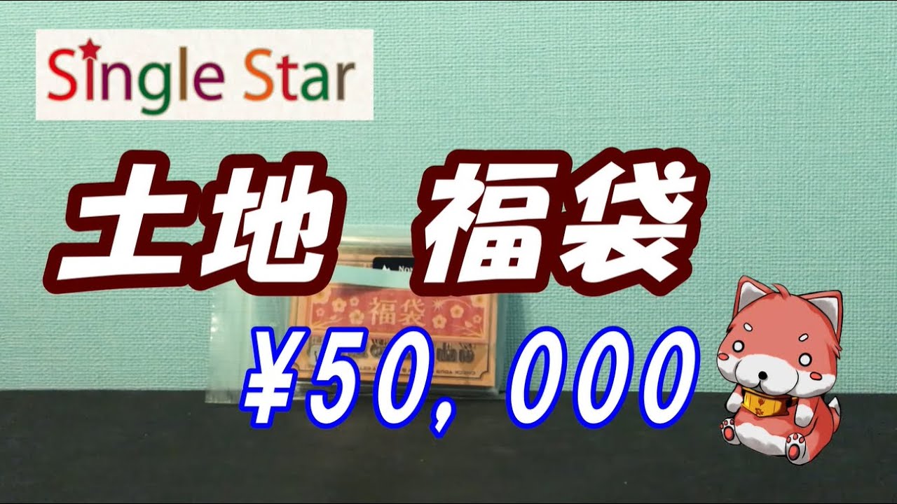 【MTG福袋】5万円 土地 福袋 シングルスター【2020新春 福袋開封ラッシュ#17】