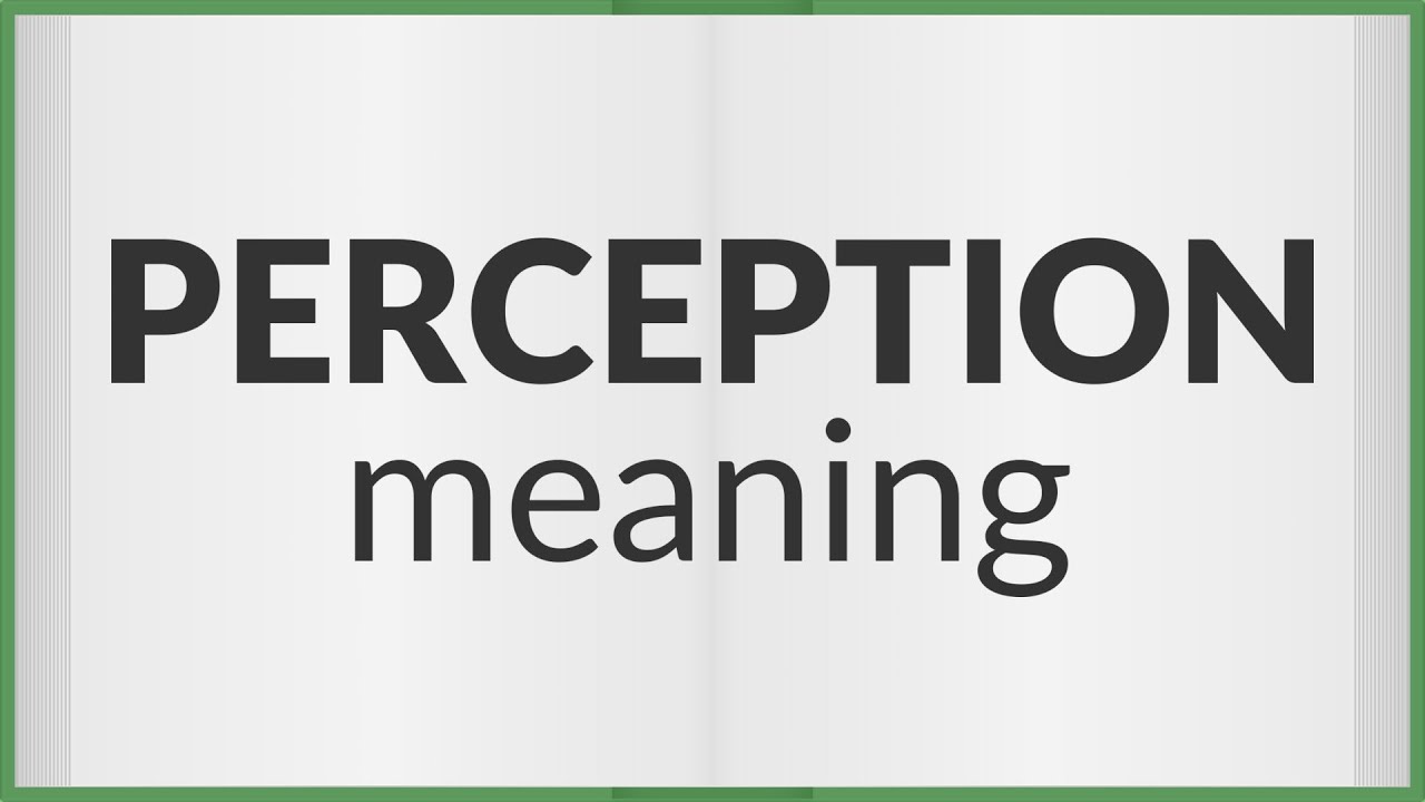 Perception | meaning of Perception