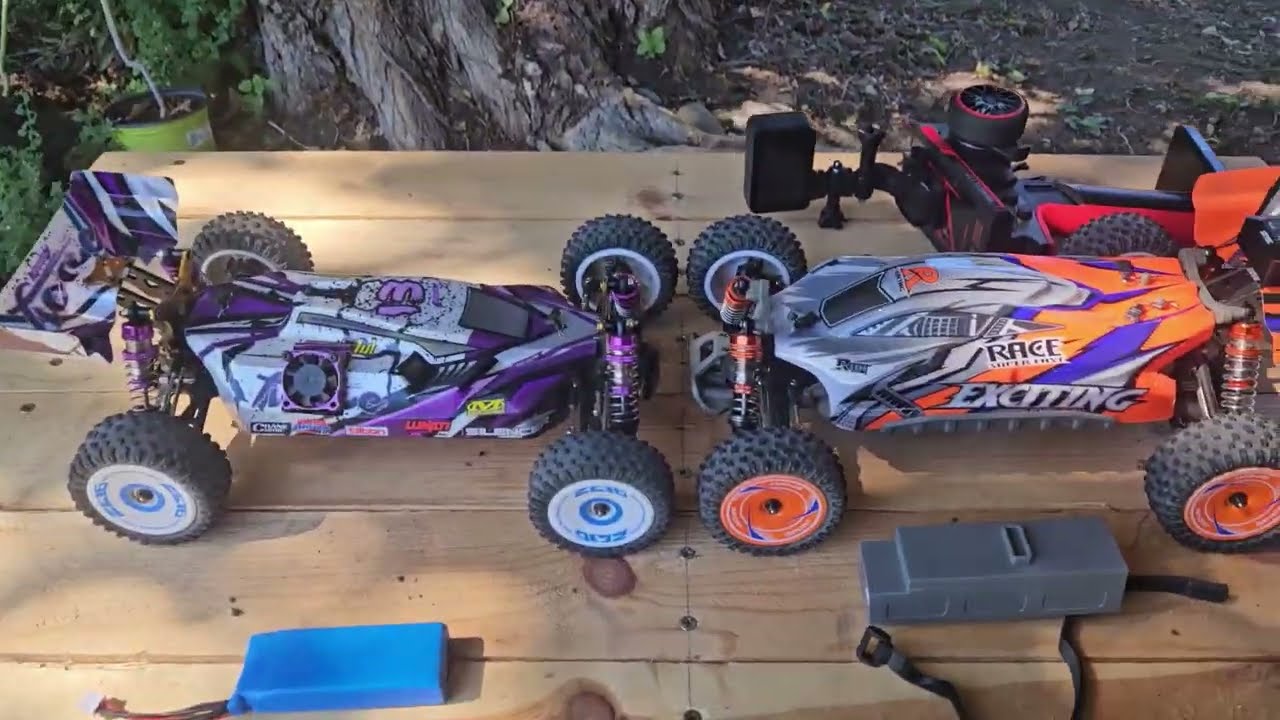 WLtoys Speed Check 124010 VS 124019