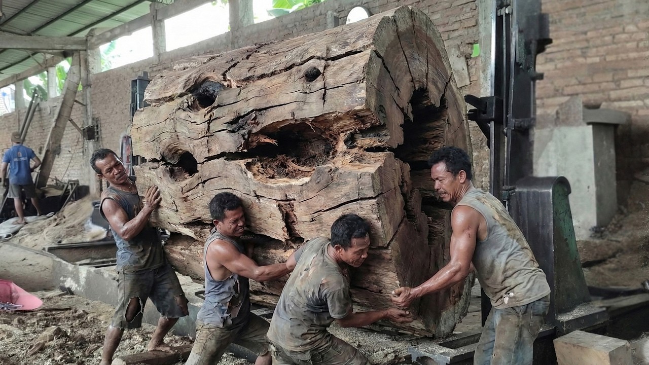 From Log to Slab Table – Stunning Beauty of Trembesi Timber