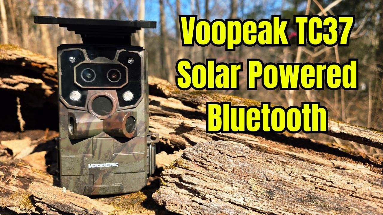 Обзор фотоловушки Voopeak TC37 #дикаяприрода #природа #фотоловушка