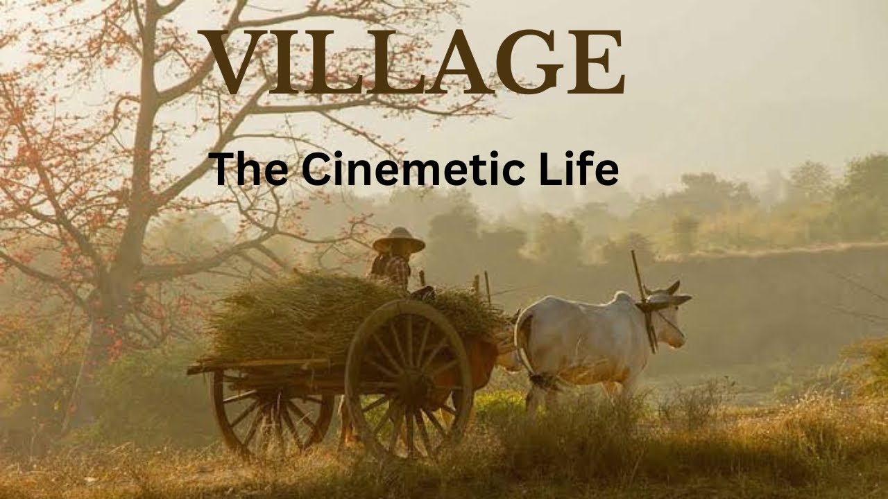How to shoot Village Cinematic video by iphone|| Village cinematic video with iPhone