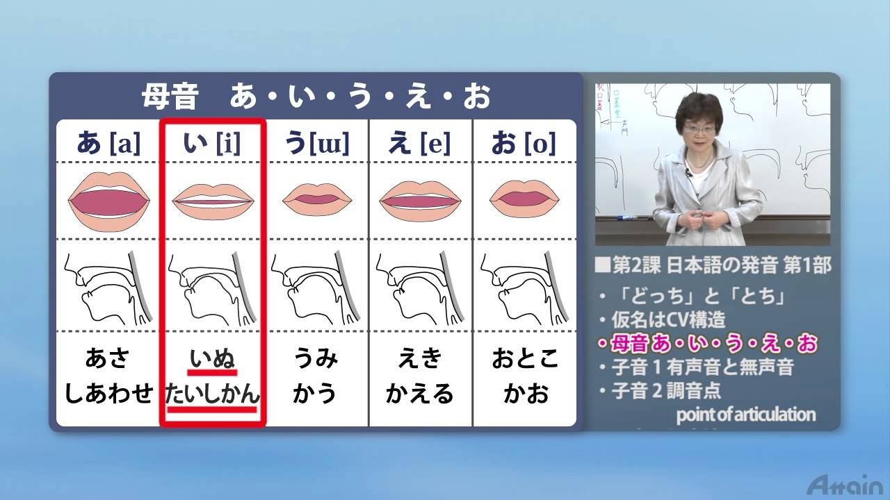 日本語レッスン✍日本語教師養成コース(日本語教育実力養成コース)