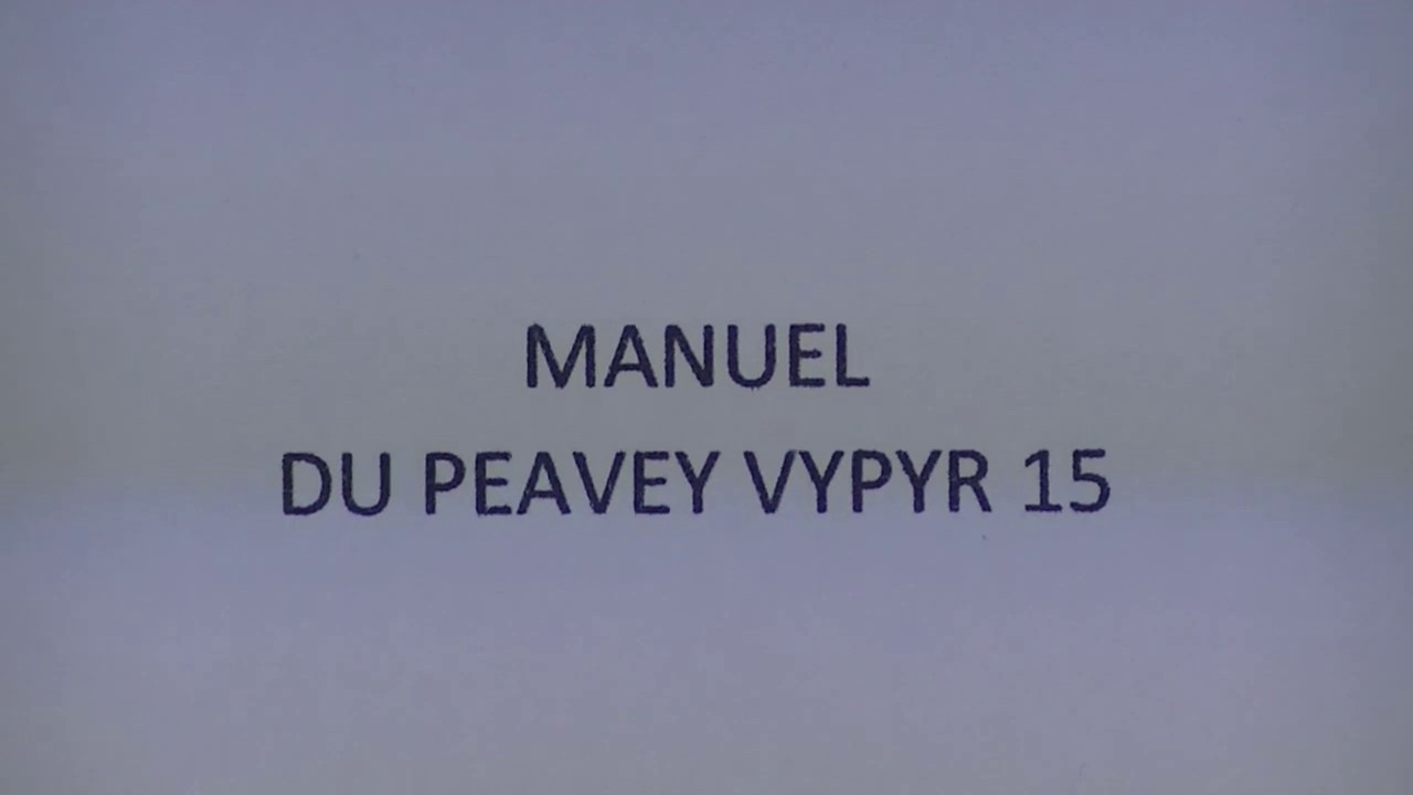 MANUEL DU PEAVEY VYPYR 15