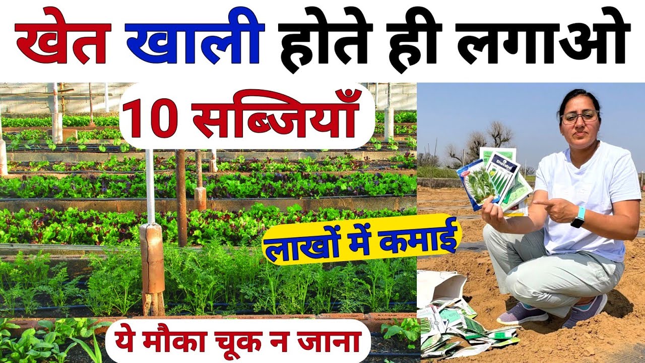 खेत खाली होते ही लगादो सबसे बेस्ट 10 सब्जियाँ| march me konsi sabji lagaye | march me sabji ki kheti