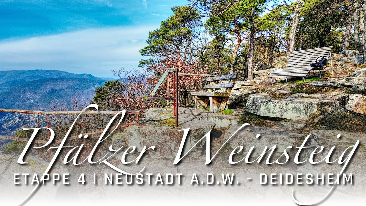 Der Pfälzer Weinsteig - Etappe 4 | Neustadt a. d. W. - Deidesheim | Wandern in der Pfalz