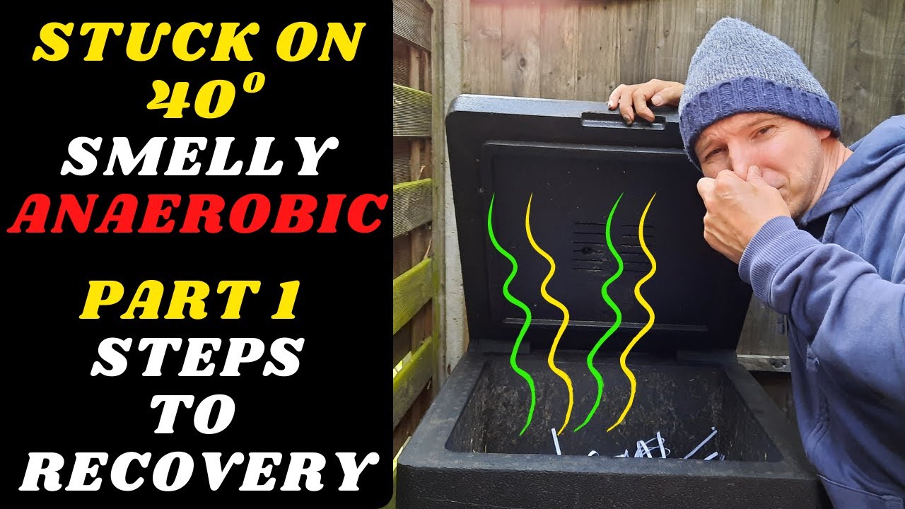Hotbin Stuck on 40⁰ Turned Anaerobic and Smelly. Part 1: The Journey to Recovery