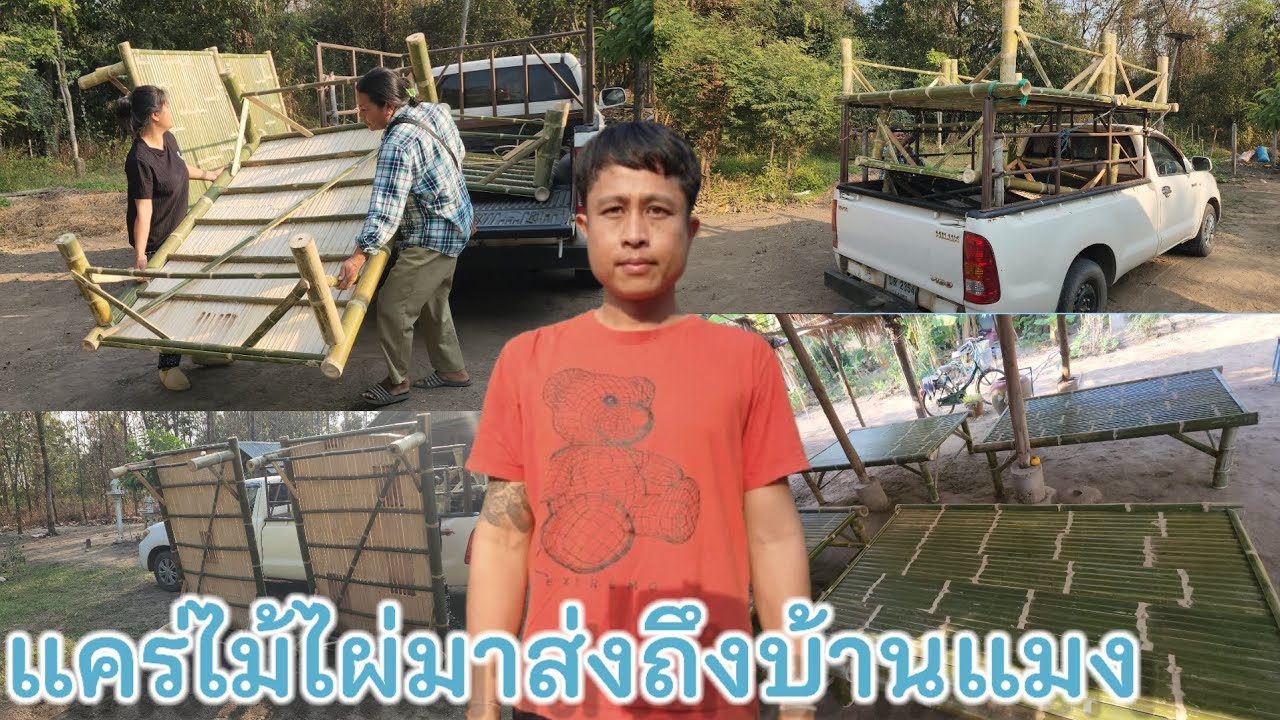 ล่าสุด!!รถส่งแคร่ไม้ไผ่มาถึงบ้านแมงกาบี้แล้ว ได้วางแคร่ในกระท่อมดูสวยงามมาก เอาไว้ทำบุญโรงทาน