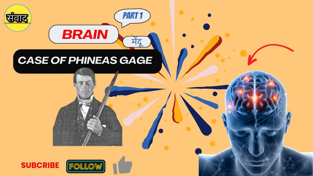 Brain | Mendu | मेंदू | Case of Phineas Gage