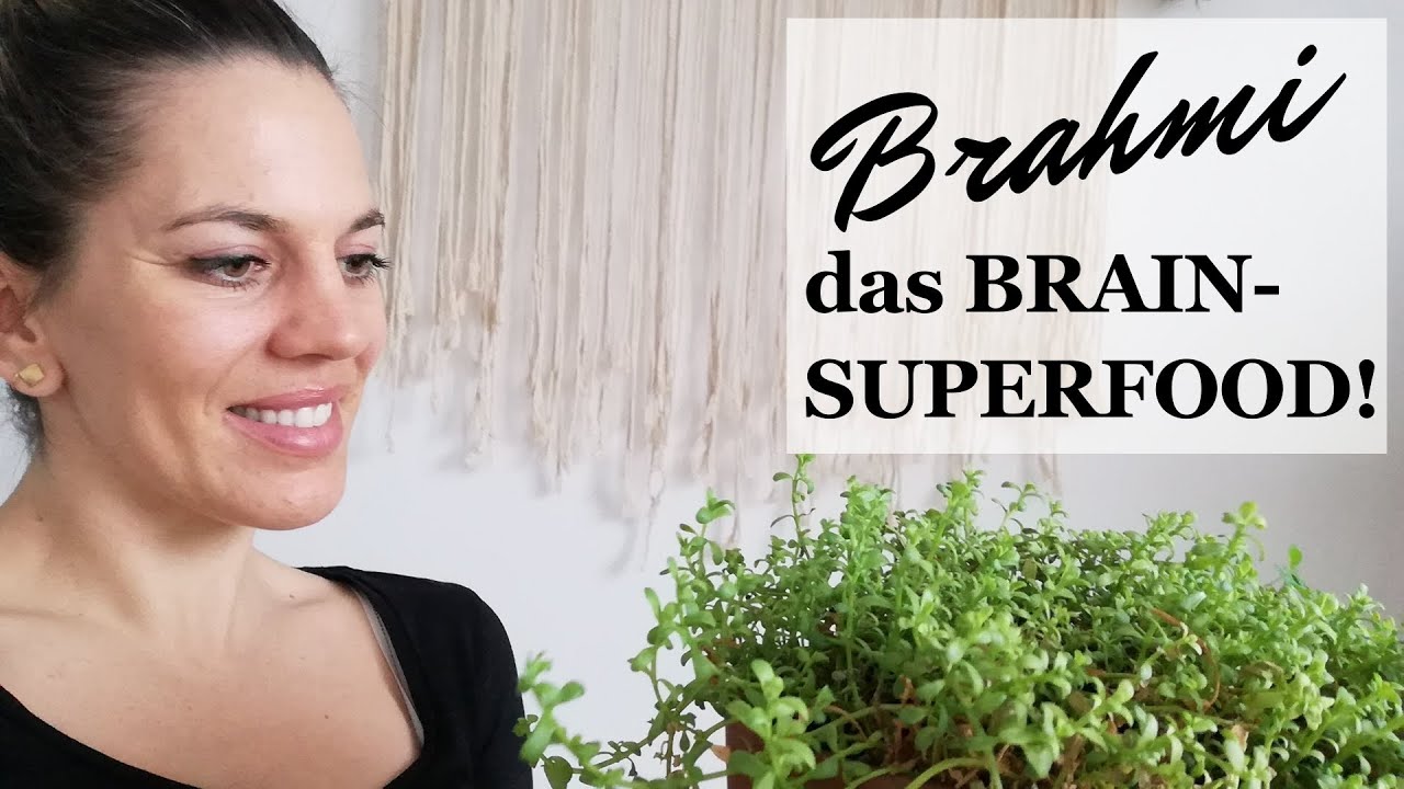 BRAHMI Wirkung & Anwendung | bessere Konzentration, besseres Ged&auml;chtnis und Verj&uuml;ngung des Gehirns.