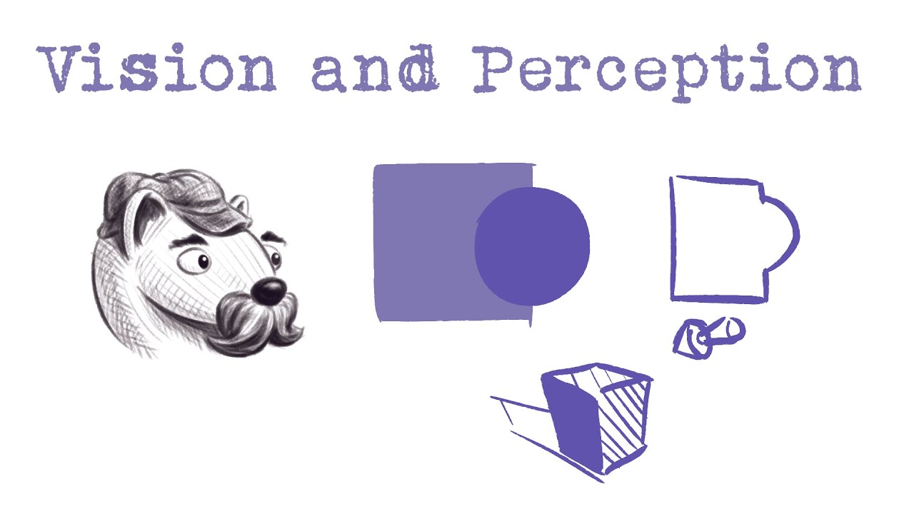 Basic Insights into Vision and Perception (for beginner artists) #drawing #drawingfundamentals