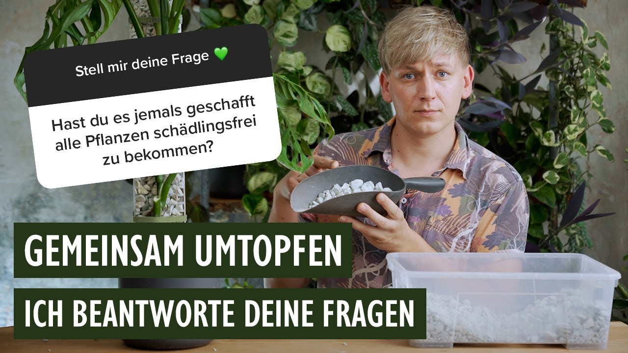 Gemeinsam umtopfen 💚 Darum habe ich meinen Job gewechselt, Schädlinge und Pflegetipps