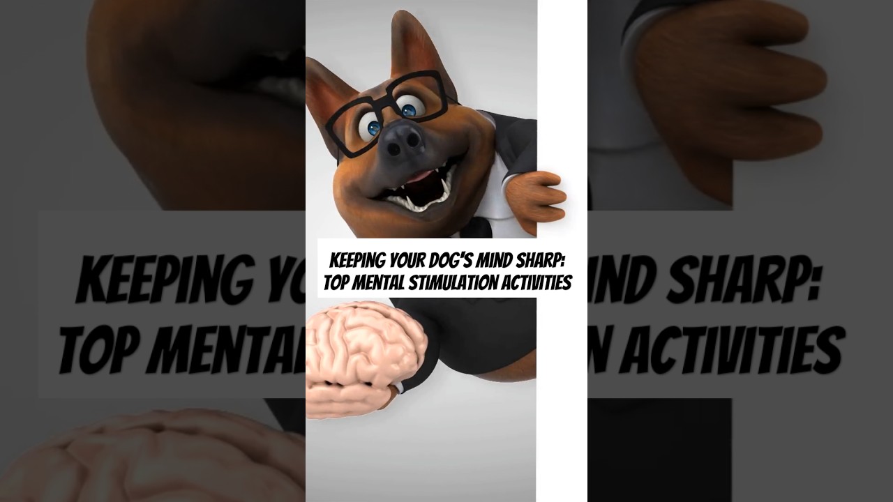 Top Dog Experts Share 5 Brain Games for Mental Enrichment