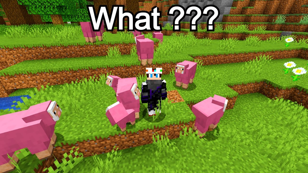 When You Find A Group of Rare Minecraft Mobs - Minecraft Shorts Compilation