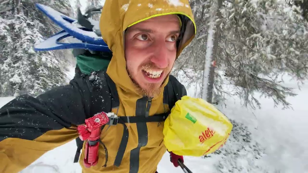 Ciaspolata Estrema di 80km sul Cammino dell'Orso in Finlandia