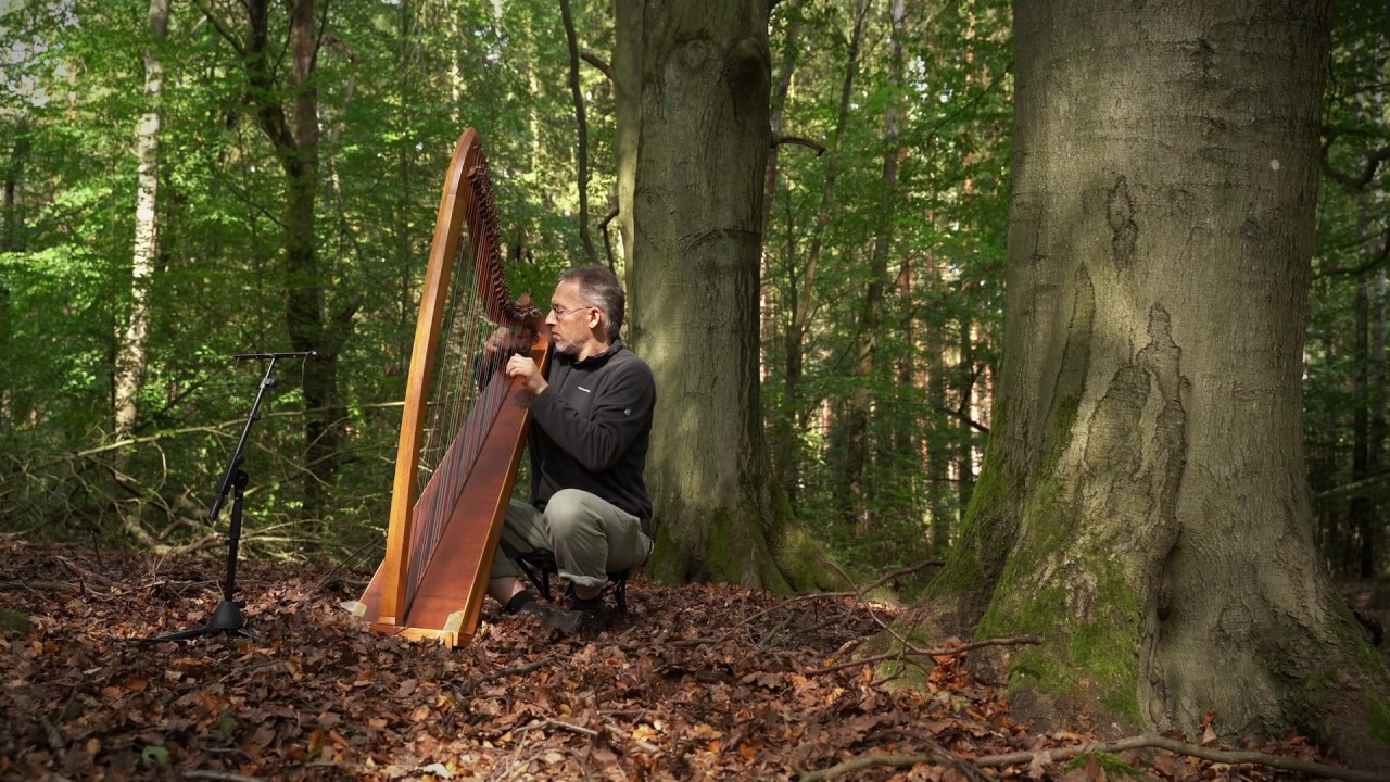 Forest Meditation on Celtic Harp, Part 1