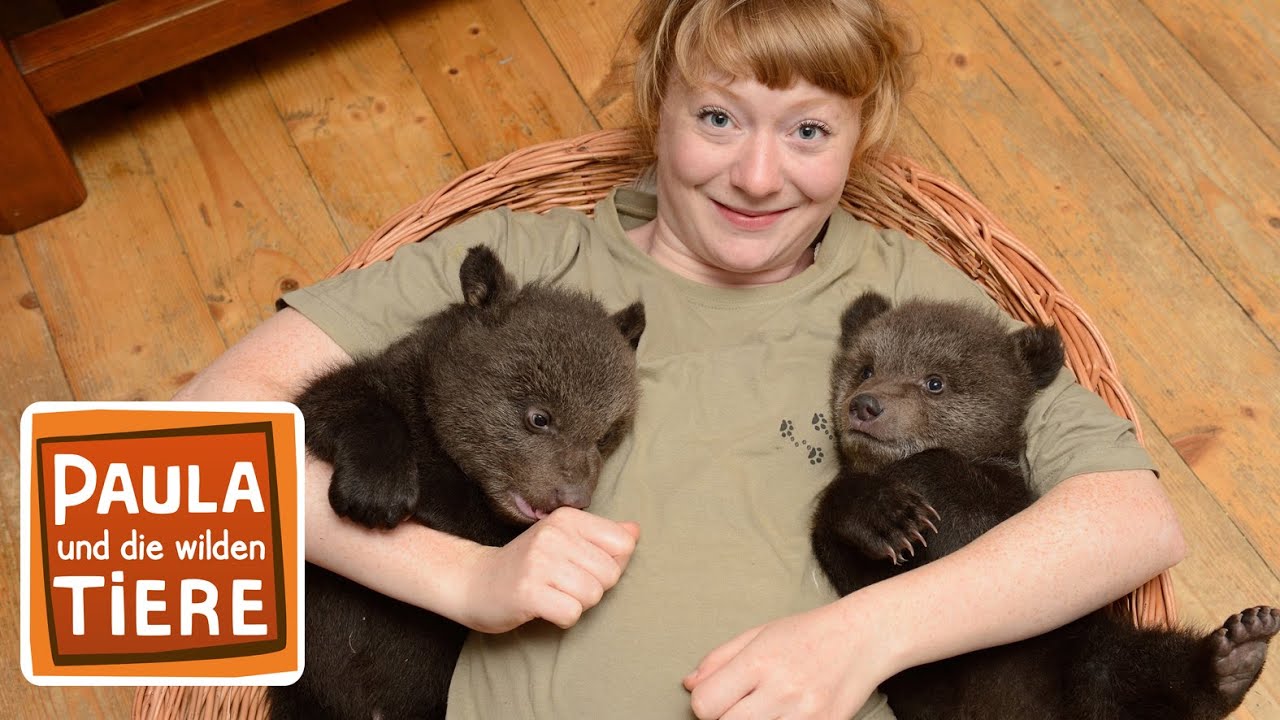 Paula und die wilden Bären | Film | Paula und die wilden Tiere