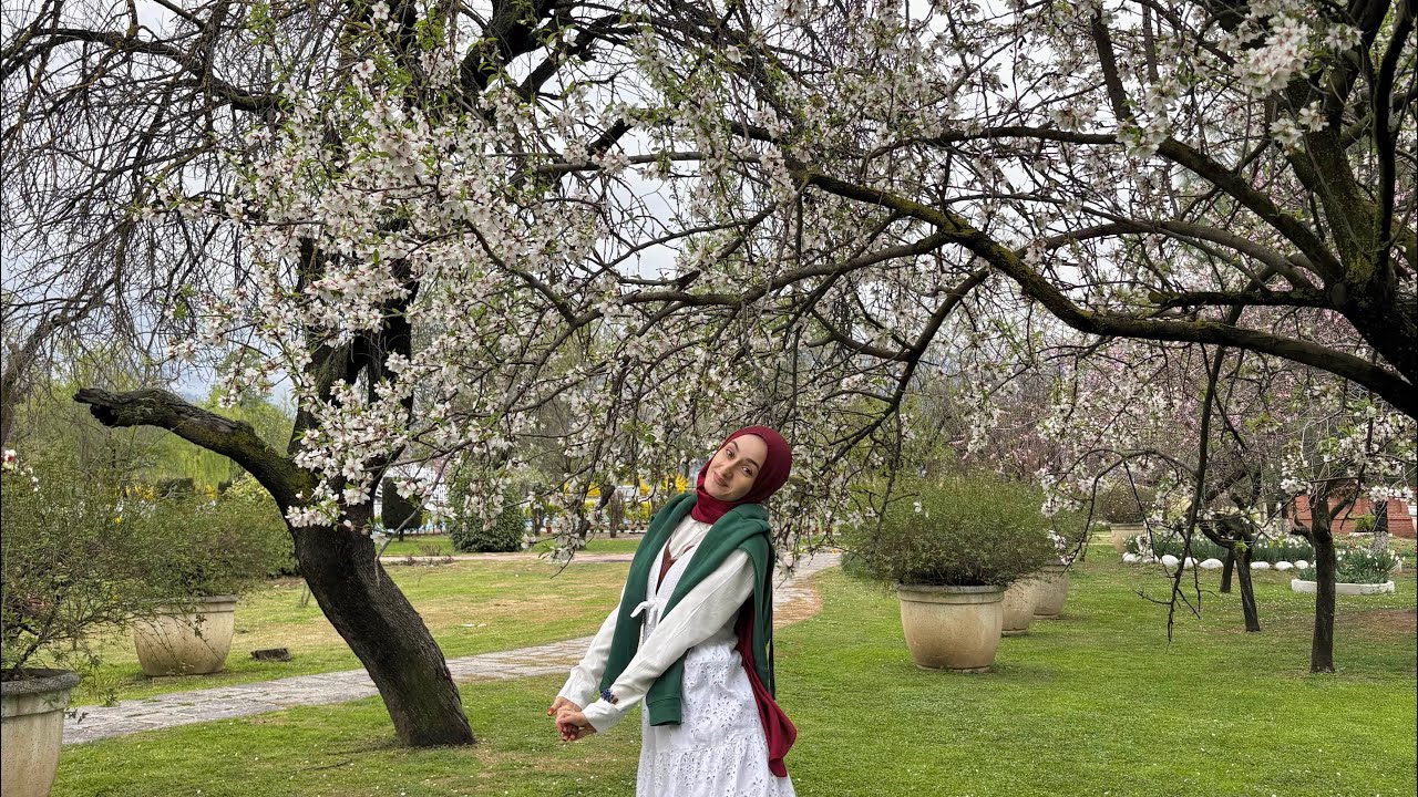 Badaamwari spring 🌸 accident ho jataa 🫣            #badamwari #spring ￼