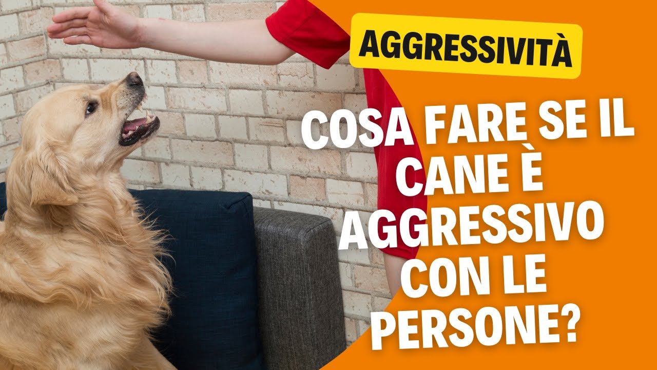 Aggressività con le persone