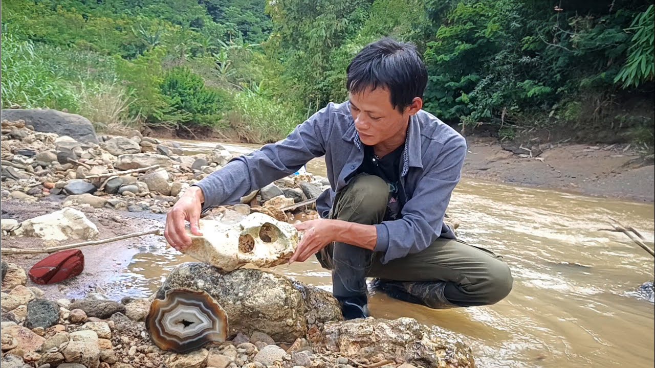 KAYA TENGKORAK.. PENEMUAN BATU SUISEKI MIRIP TENGKORAK KEPALA BUAYA...