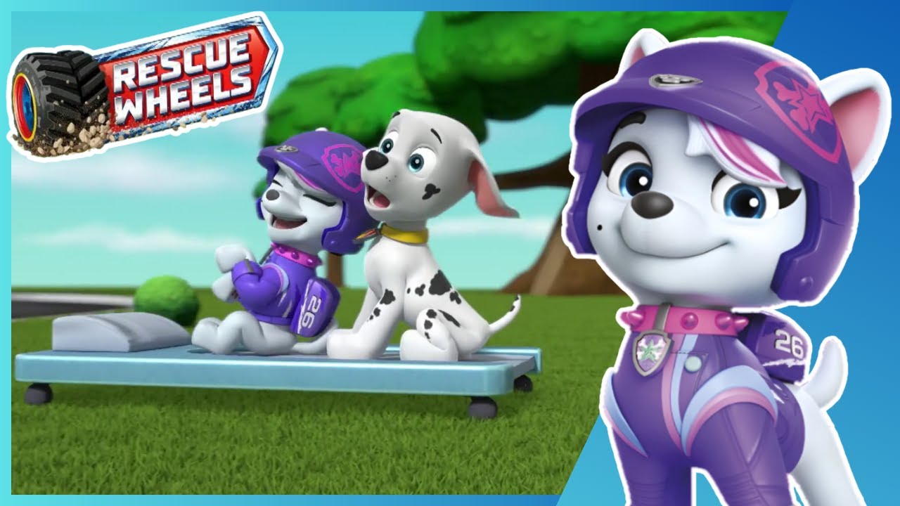 Rescue Wheels: Pups Save Adventure Bay! - Crash Course