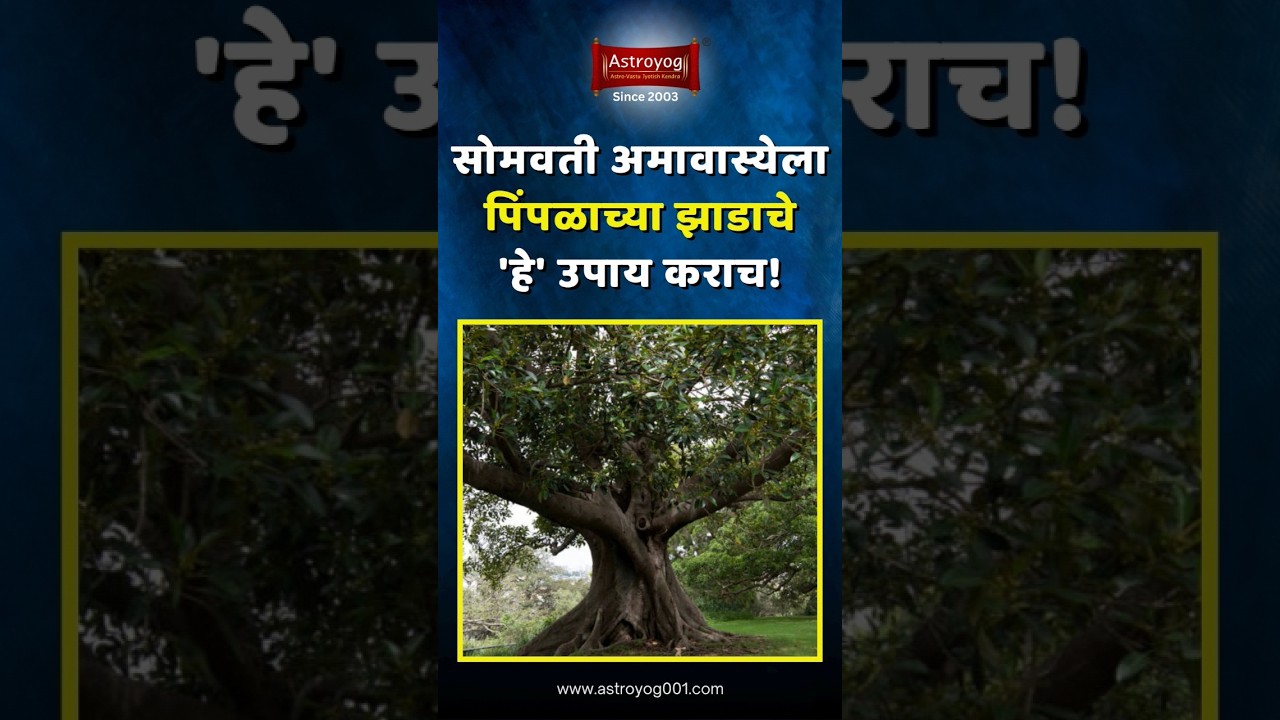 पितरांचा आशिर्वाद प्राप्त होईल, करा अमावस्येचा 'हा' उपाय! Somvati Amavasya Upay 2025 Marathi #shorts
