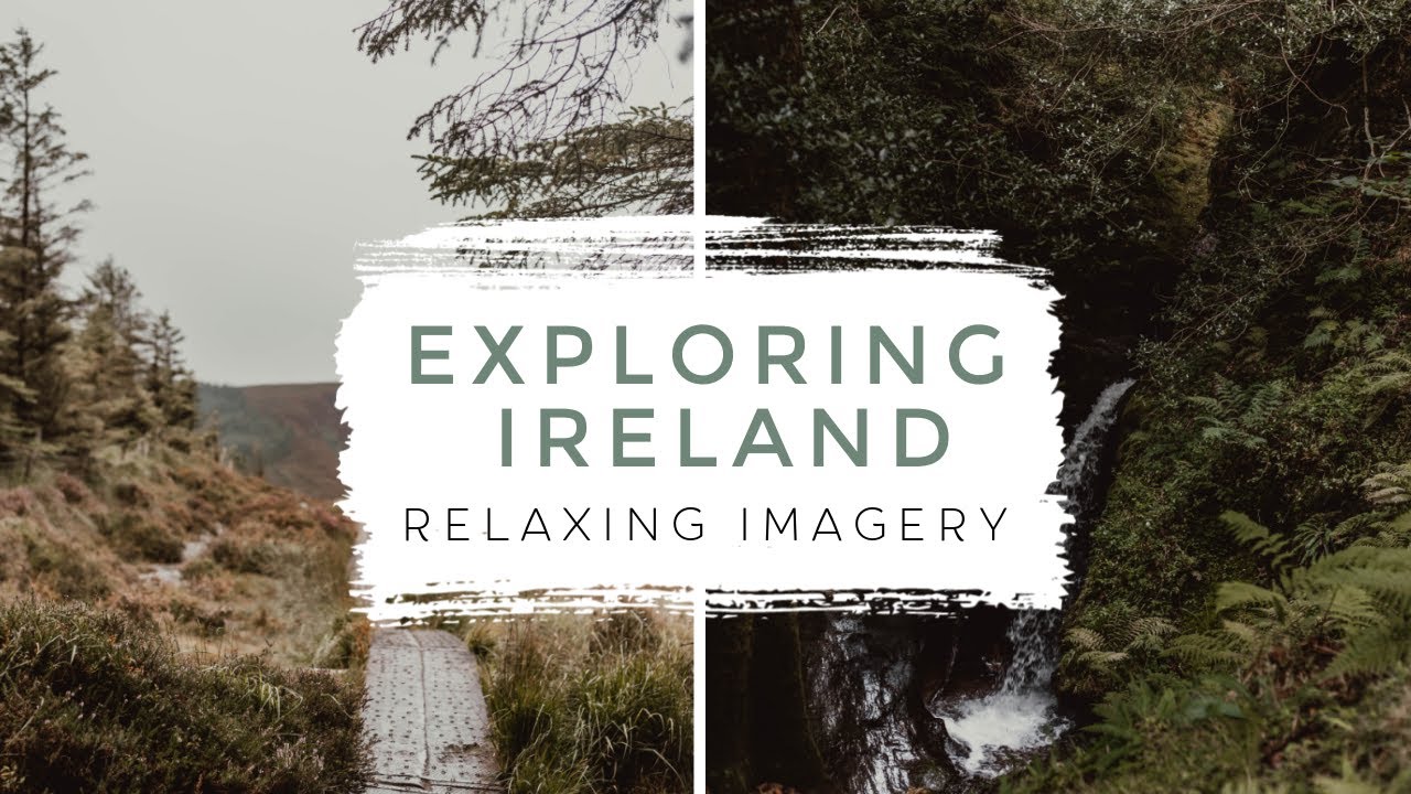 Wandering in an Irish forest - relaxing imagery 🌲
