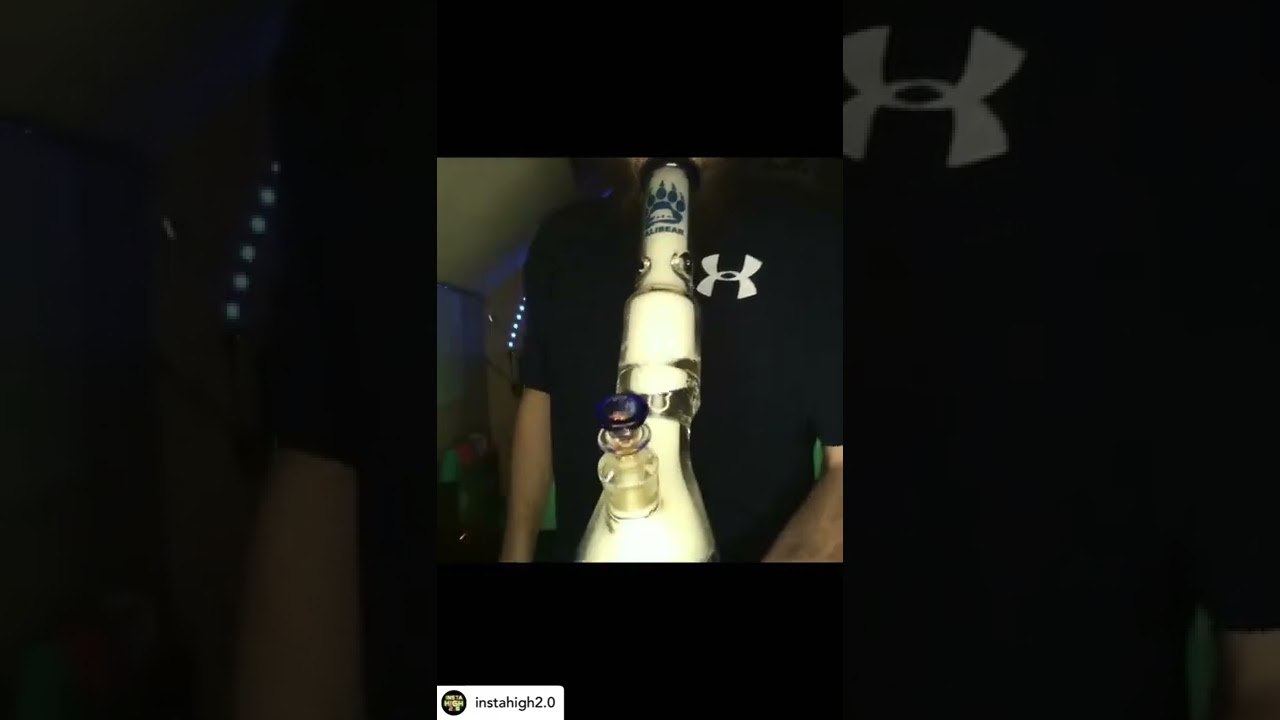 Calibear SOL flower beaker bong