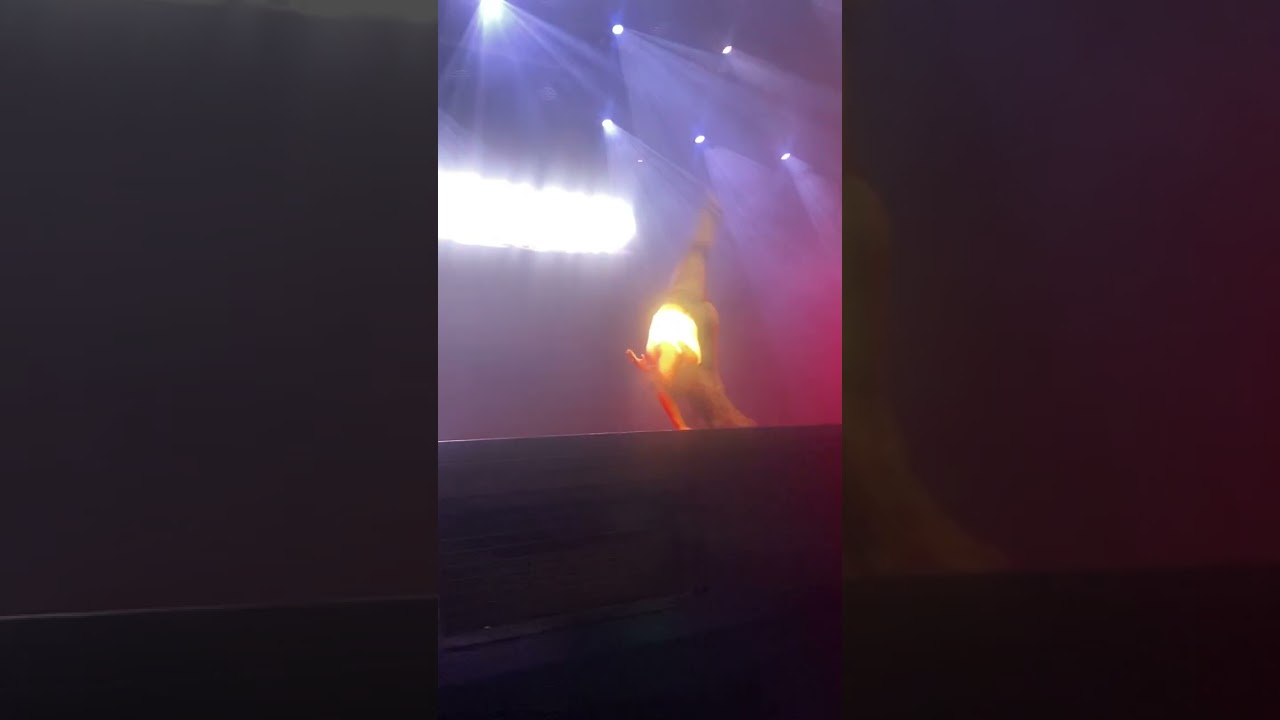 The Next Step Tour Finale