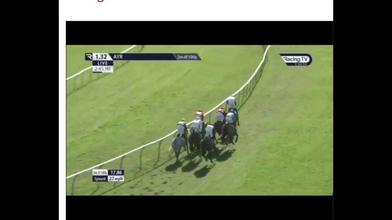 Conner at Ayr on 7/3/2026 on Out of the Woods for a good 2nd place.🙂