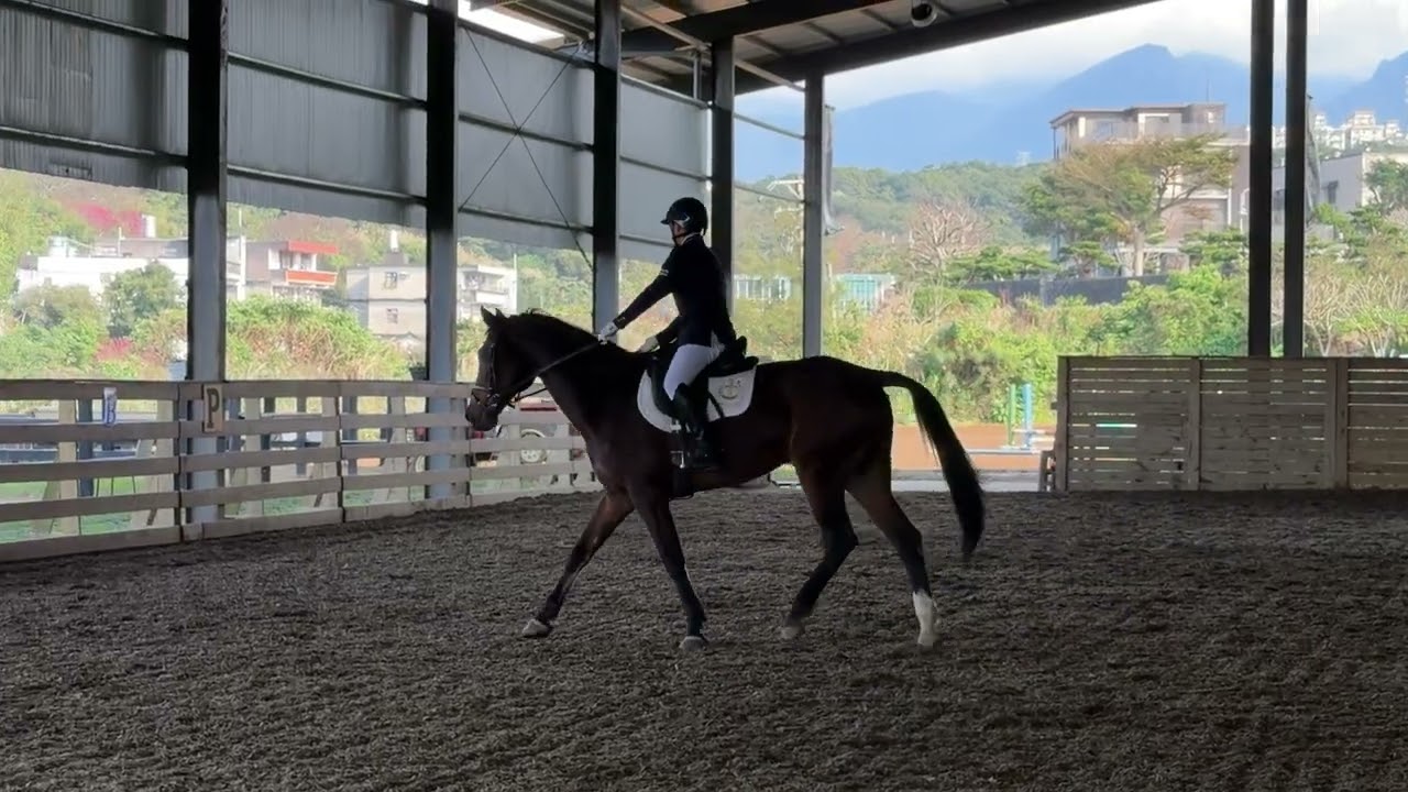 練習影片20260219有換腳錯誤 Virtus Para Equestrian Video Competition Round1 Grade IV Novice A Rui Yan Tai TPE2