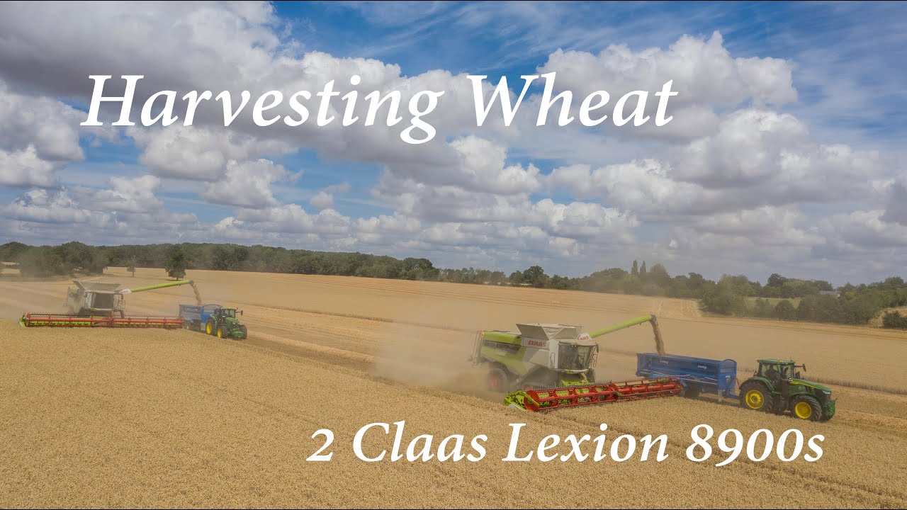 Strutt & Parker Farms - Harvesting Wheat -  Claas Lexion 8900