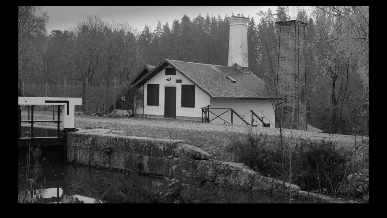 Höst