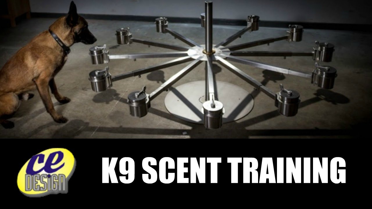 K9 Scent Training | Central Engineering Part 1
