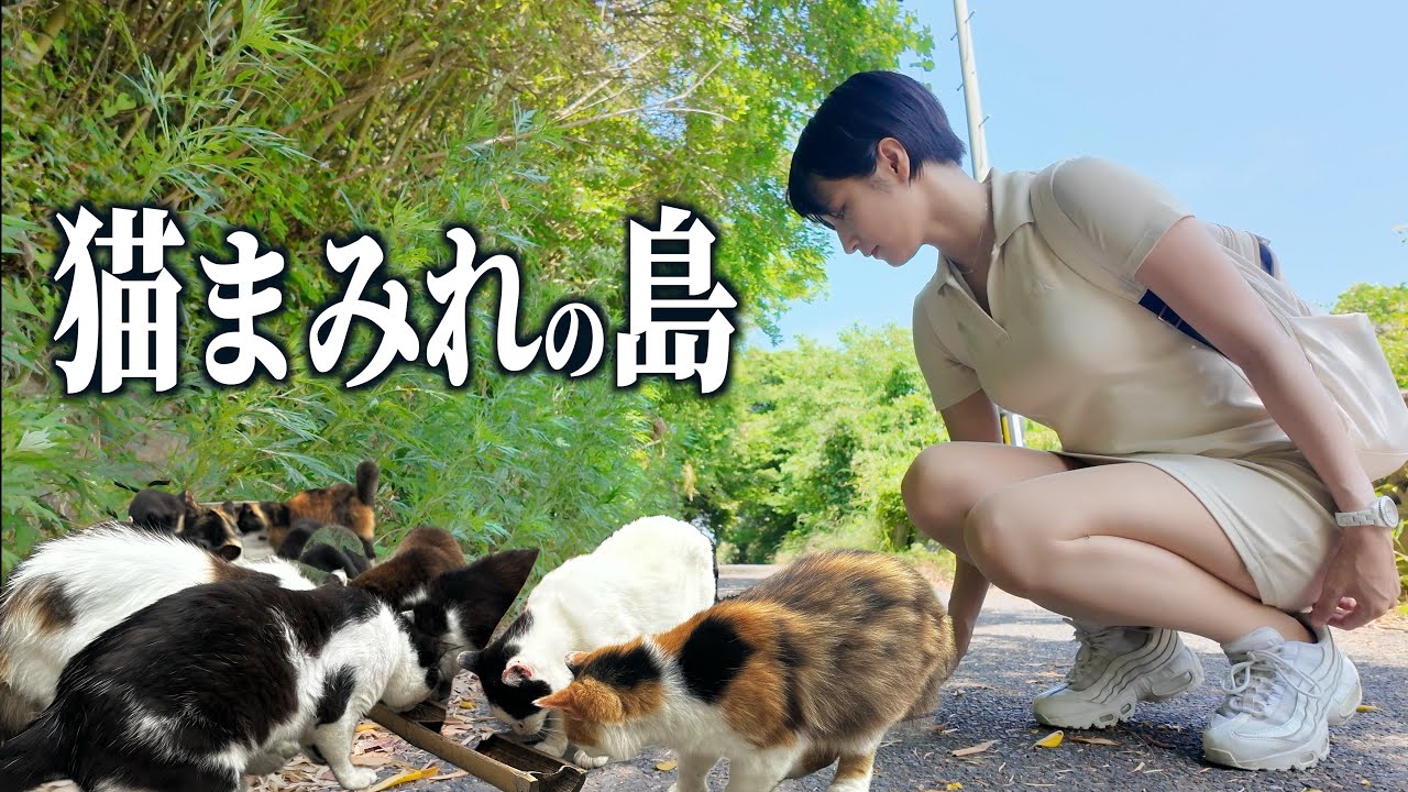 猫まみれの島でやらかした… フェリーでしか行けない田代島、女ひとり旅。