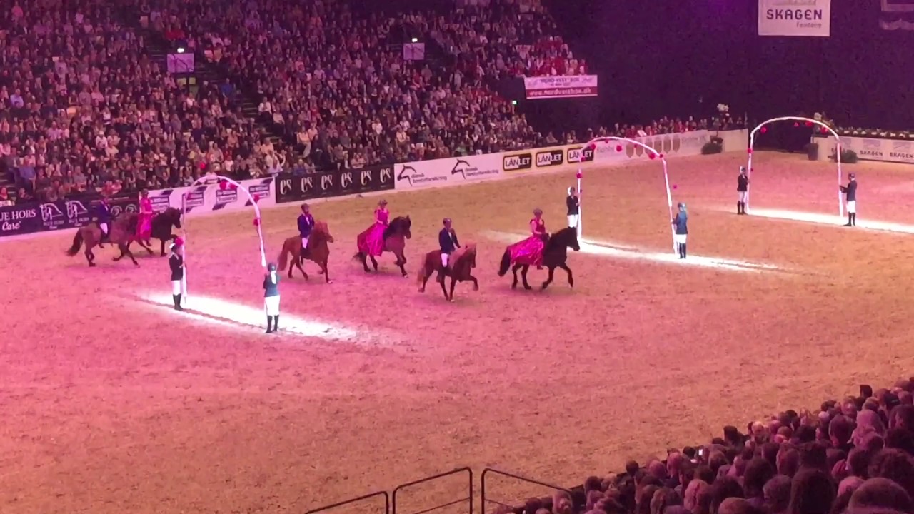 Islandske Heste ved Dansk Varmblod Hingstek&aring;ring 2017 Gallahow