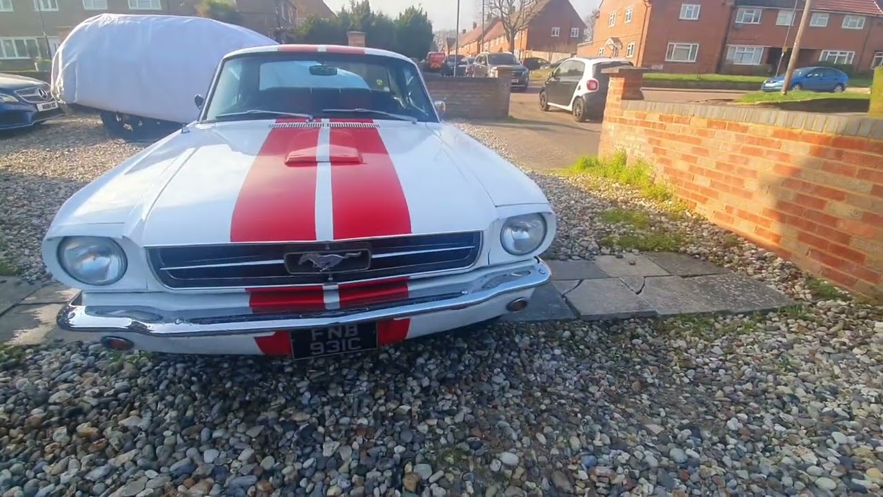 1965 Mustang 