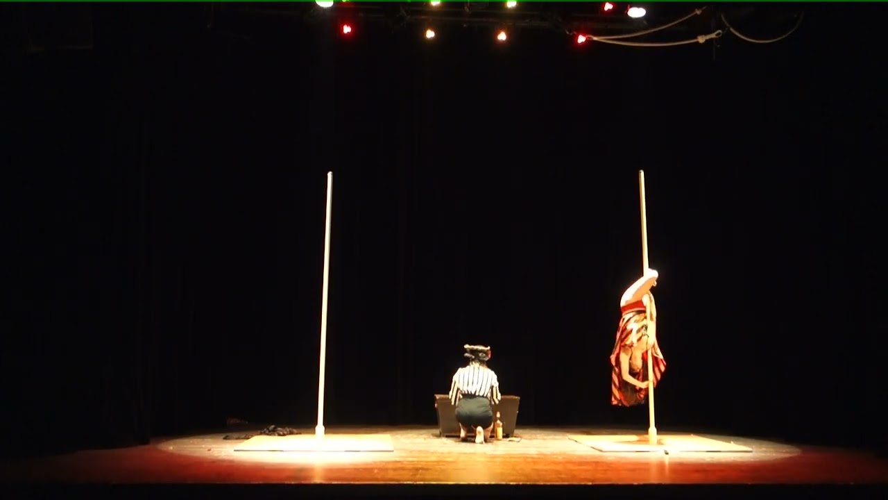 Gala Pole Dance Danse aérienne - Emma Viirgo - Pirates des caraibes