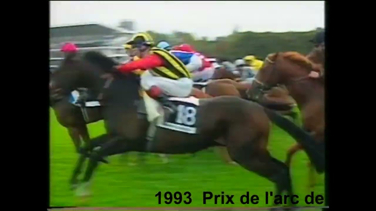 1993 Prix De L'Arc De Triomphe