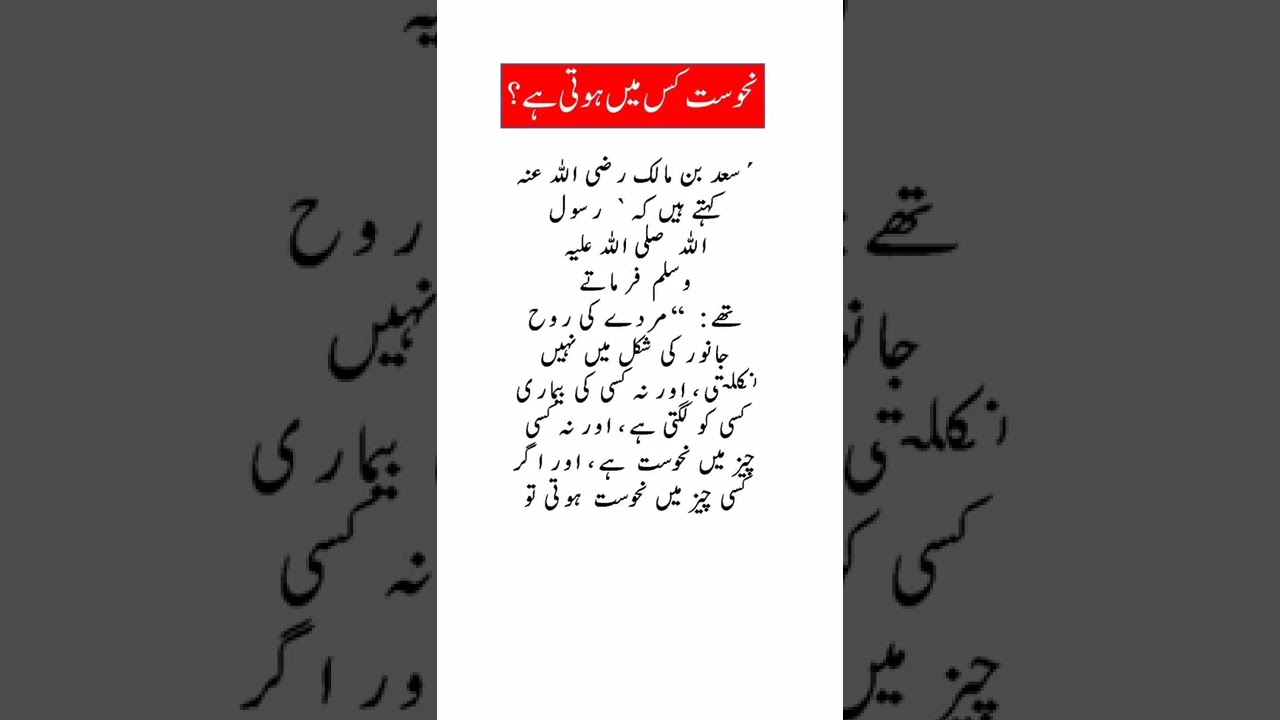 Nahoosat kis mien hoti hai نحوست کس چیز میں ہوتی ہے؟ #shorts #islamicstatus #islam #tamehwrites