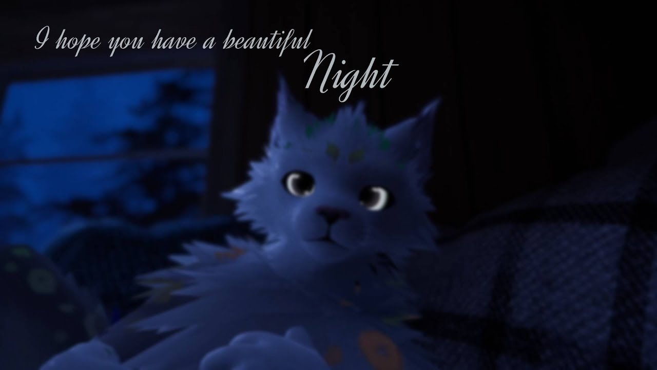 a mellow kitty wishes you well after a long day : ASMR