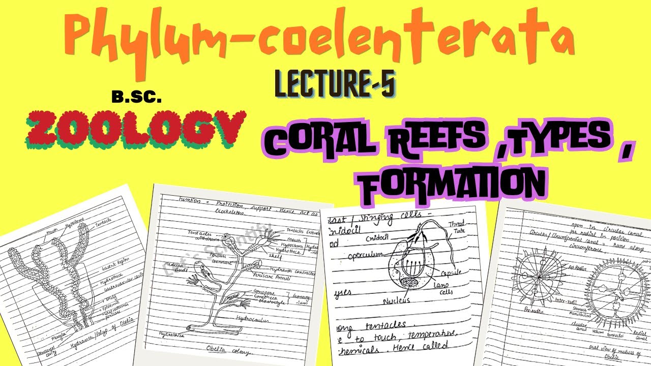 Coral Reefs | Their formation | Types | Economic Importance | Notes link in description.