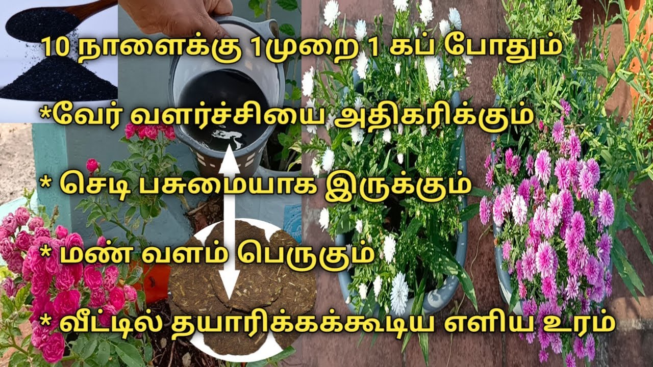 What is humic acid, benefits,how to use homemade humic acid
