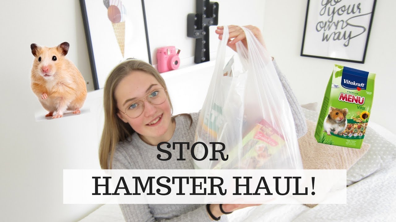 Hamster Haul!!!