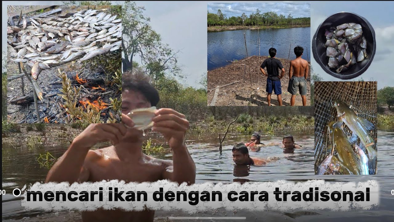 MENANGKAP IKAN DI MUSIM KEMARAU // HASIL SANGAT MELIMPAH