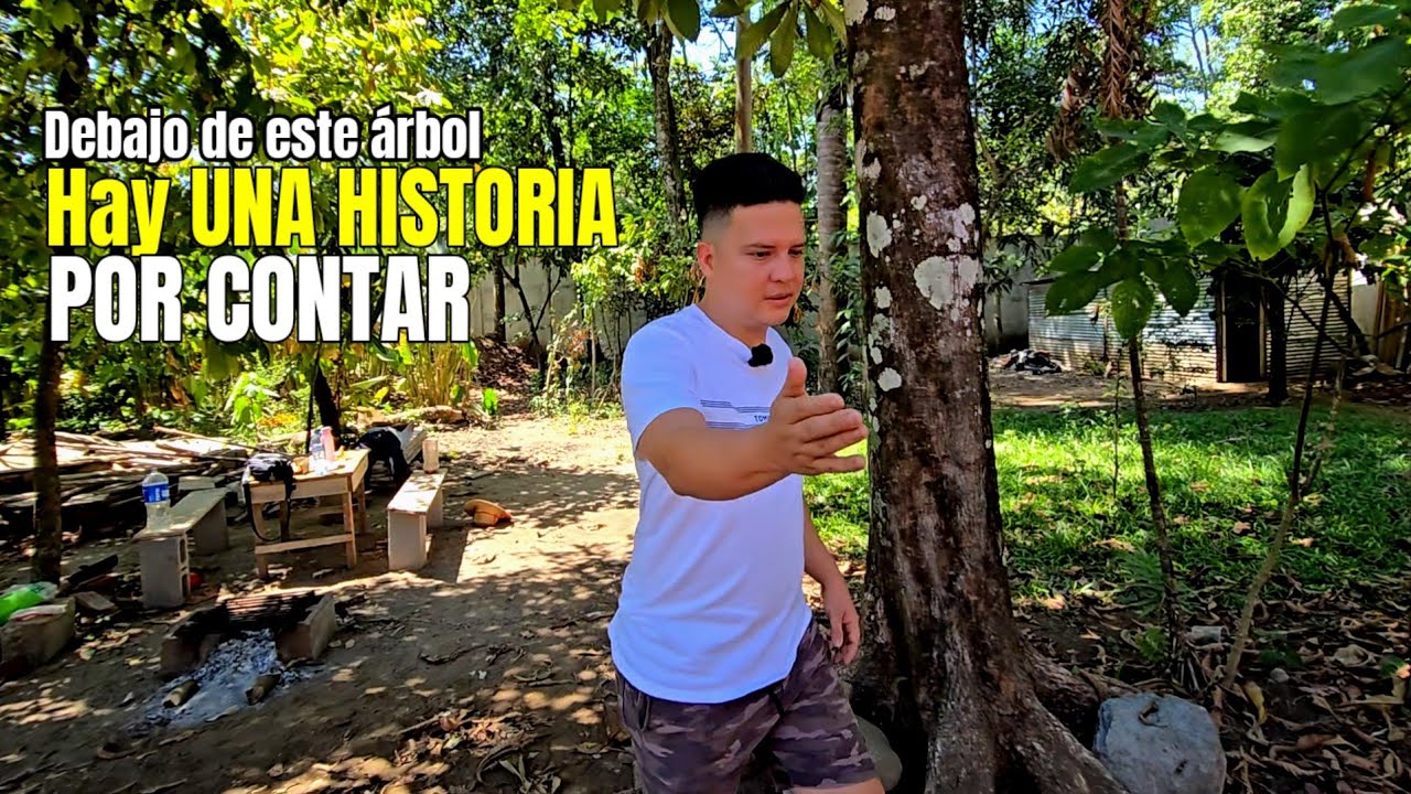 Este árbol SIGNIFICA MUCHO para Pamela y para mí. HAY UN SECRETO ENT3RRAD0 AQUÍ. 