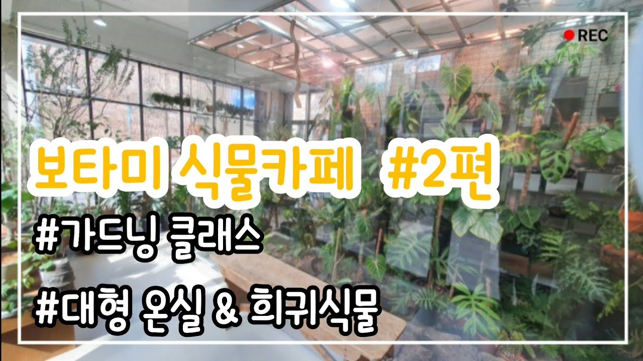 창원) 보타미 식물카페 상세보기 2편 / 가드닝 클래스  / 희귀식물 / 대형온실 @prr_tv