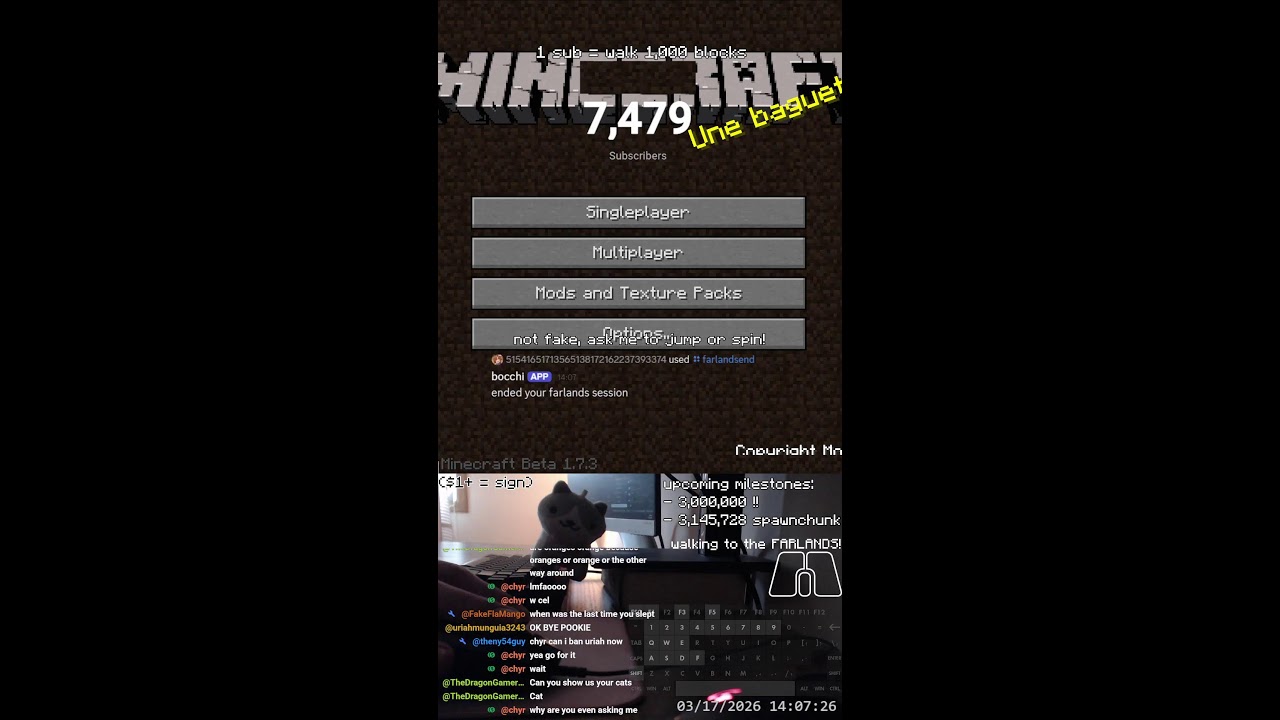 Journey to Minecraft's Corner Farlands #87 (2,700,000, 21.51%)