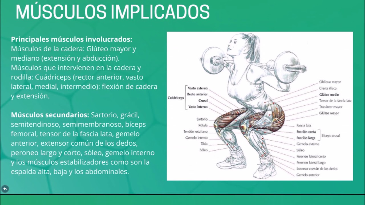 BIOMECANICA DE UNA SENTADILLA