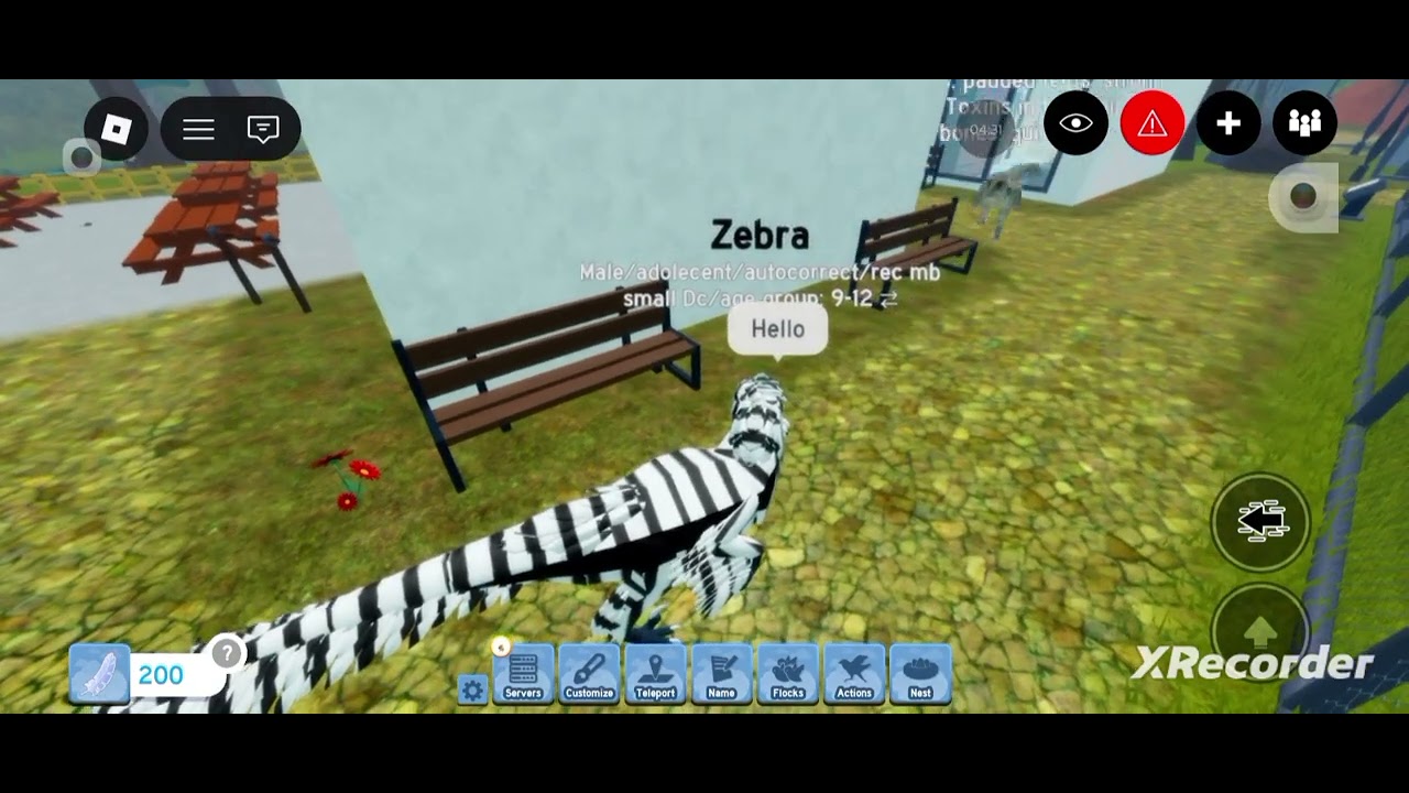 I tried zoo